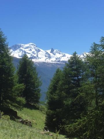 Haus Valaisia - Randa Bei Zermatt Apartment Bagian luar foto
