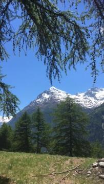 Haus Valaisia - Randa Bei Zermatt Apartment Bagian luar foto